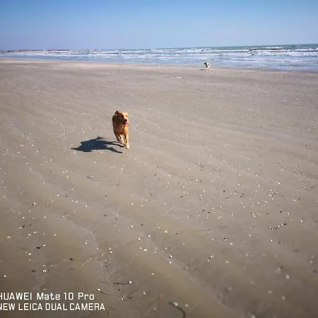 Cà Arivanlial Venice *