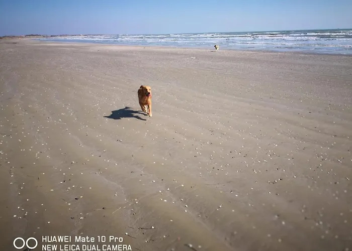 Cà Arivanlial Venice *